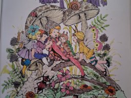 whatsapp bild 2025-08-26 um 19.06.36_a97706ad